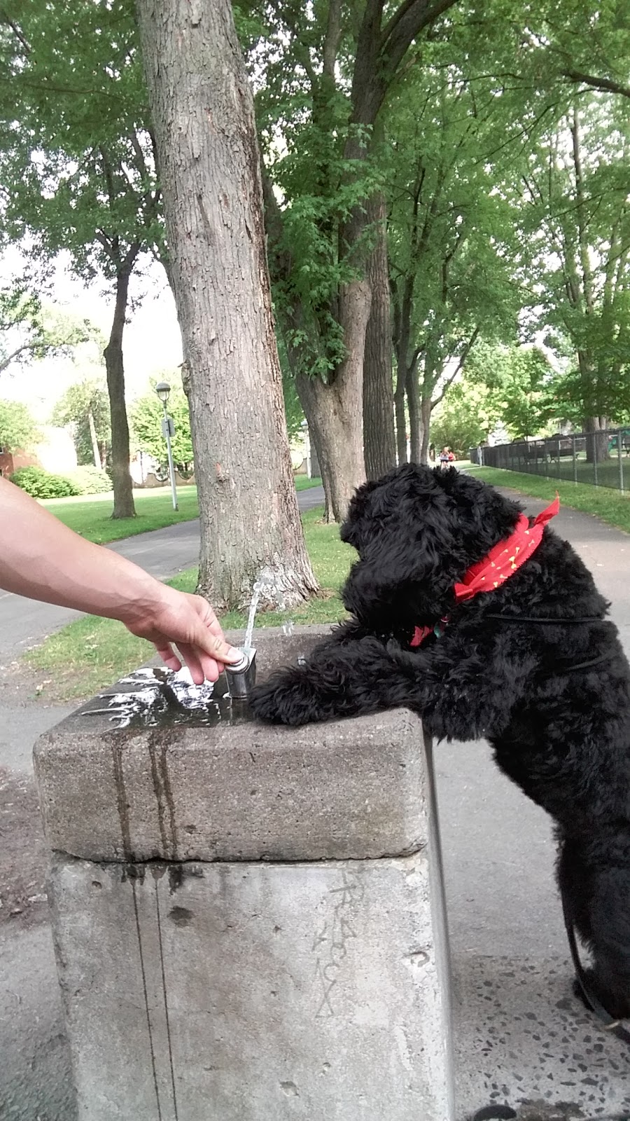 Parc Nicolas-Viel | Montreal, QC H3L 1H9, Canada | Phone: (514) 872-1140