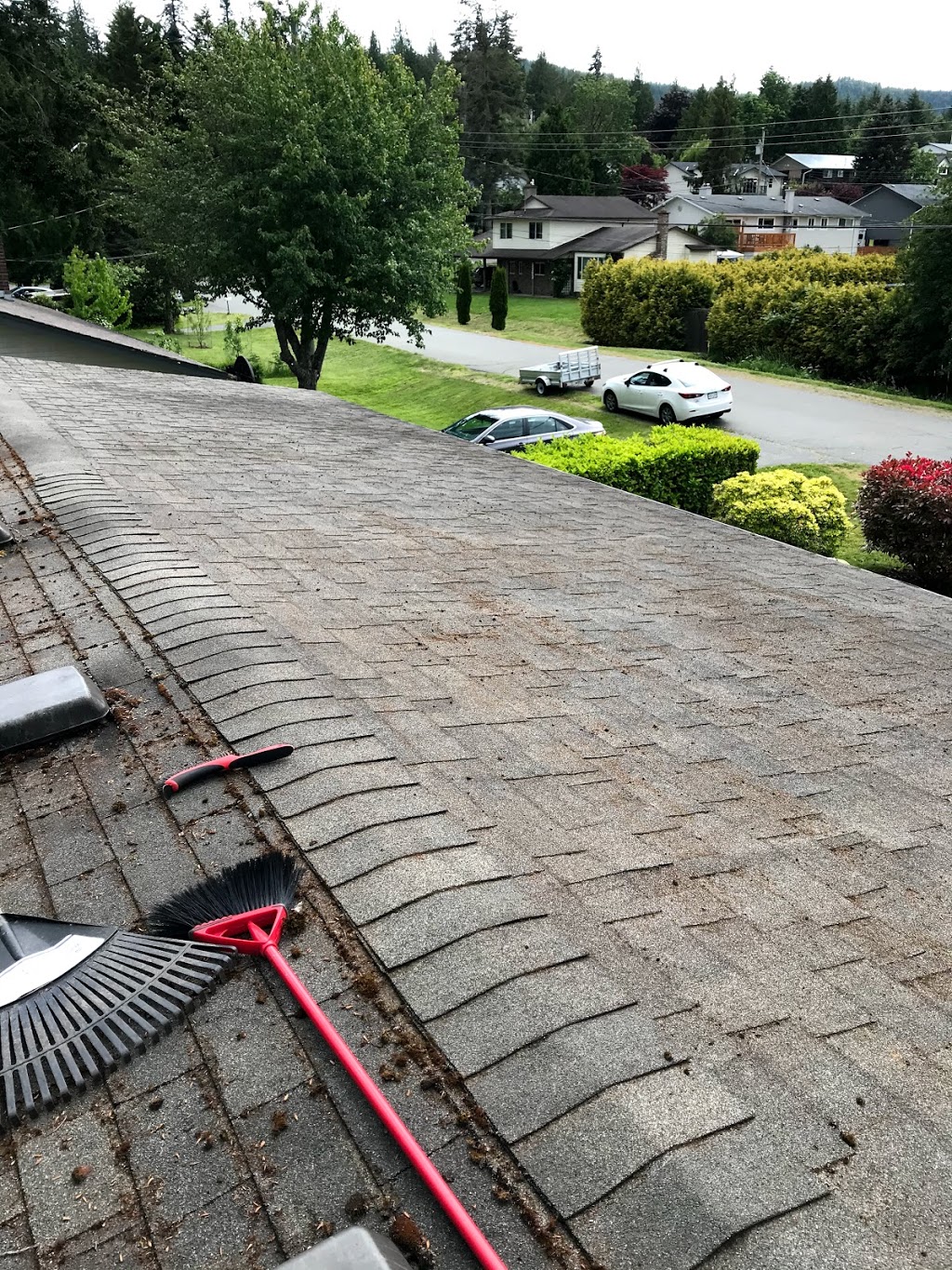 Shanes Detailed Exteriors | 3116 Barons Rd, Nanaimo, BC V9T 4B5, Canada | Phone: (250) 668-8659