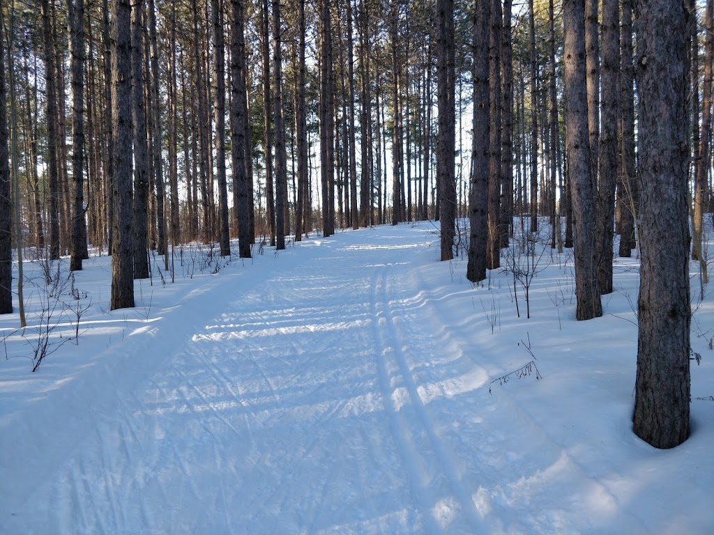 Mono Nordic Ski Club | Monora Park Pavilion, 500 Bristol Dr, Mono, ON L9W 0E1, Canada | Phone: (519) 939-9608