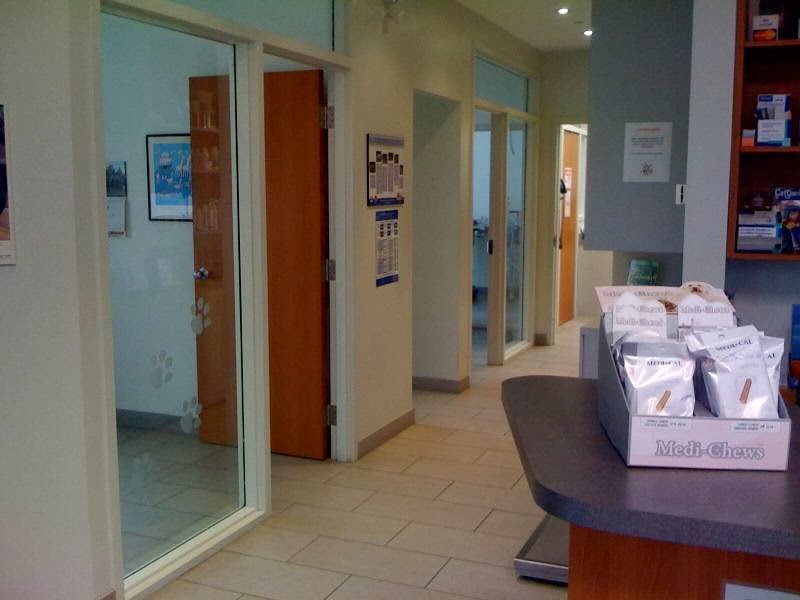North Park Veterinary Hospital | 490 Chrysler Dr, Brampton, ON L6S 0C1, Canada | Phone: (905) 799-9888
