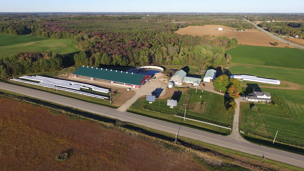 Waddell Engineering Ltd. | 119 Pinebush Rd Unit C, Cambridge, ON N1R 7J8, Canada | Phone: (519) 267-6789