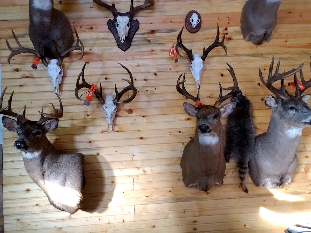 Striga Taxidermy | Mayfair, SK S0M 1S0, Canada | Phone: (306) 240-8028