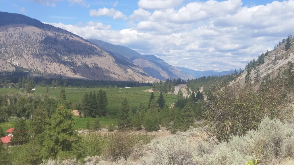 Liber Farm and Winery | 156 Sumac Rd, Cawston, BC V0X 1C0, Canada | Phone: (250) 499-5305