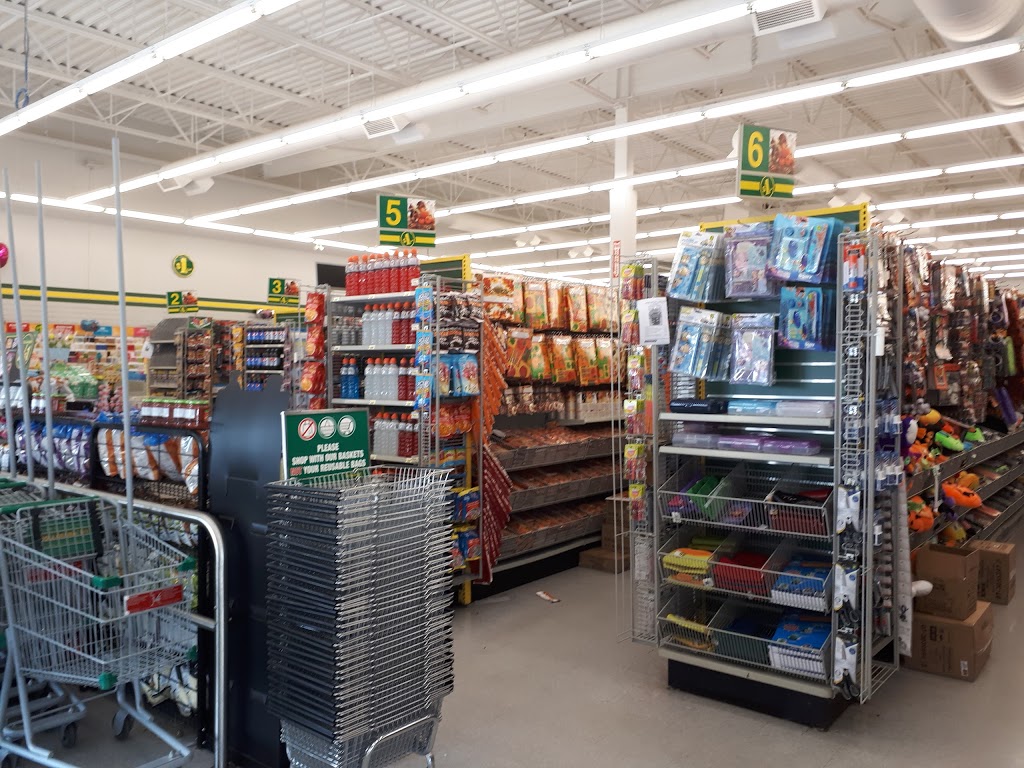 Dollarama | Shopping Centre, 1535 ON-7A, Port Perry, ON L9L 1B5, Canada | Phone: (905) 985-0404