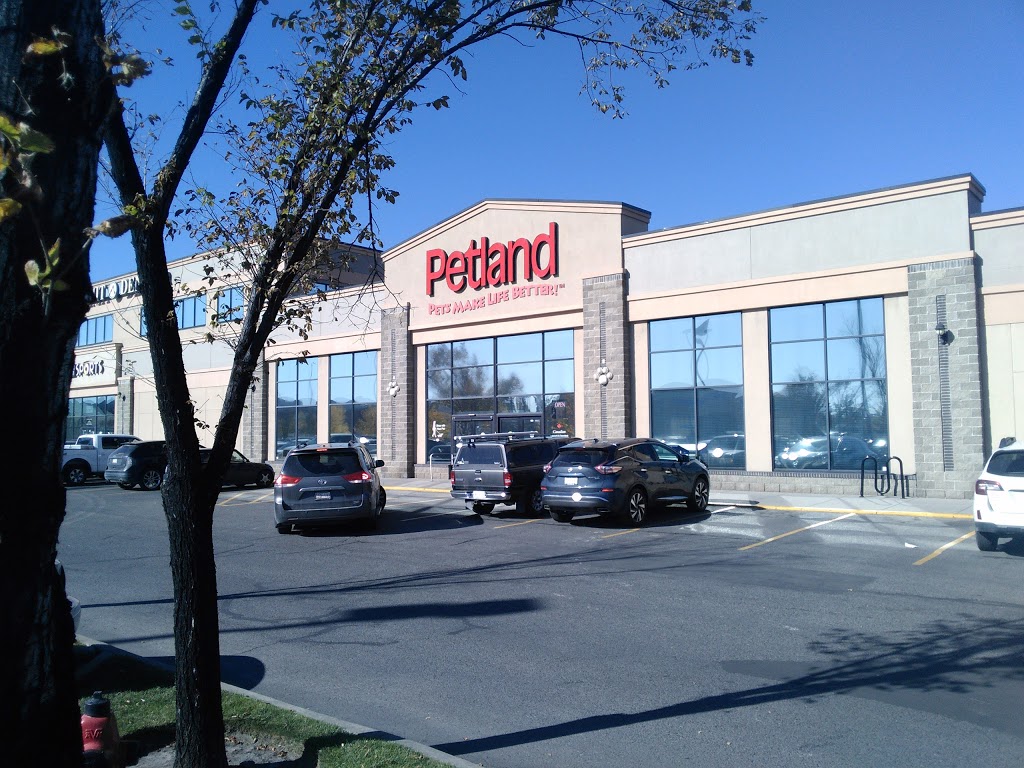 Petland | Shawnessy, 580, 303 Shawville Blvd SE, Calgary, AB T2Y 3W6, Canada | Phone: (403) 508-0040