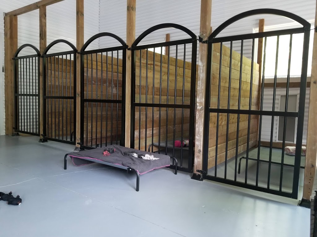 Golden Acres Dog Resort | 6073 5th Line, Rockwood, ON N0B 2K0, Canada | Phone: (416) 500-8332