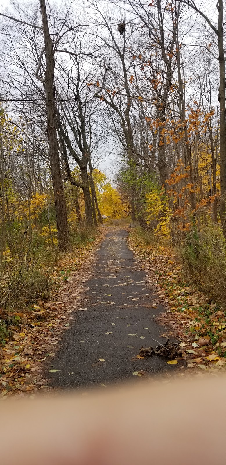 Bloordale Park South | 230 Renforth Dr, Etobicoke, ON M9C 2K9, Canada | Phone: (416) 338-4386