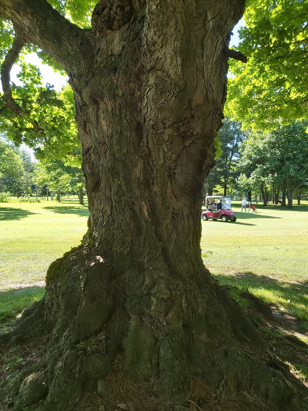 Craigowan Golf Club | 595838 Hwy 59 N R.R. #, 6, Woodstock, ON N4S 7W1, Canada | Phone: (519) 462-2743
