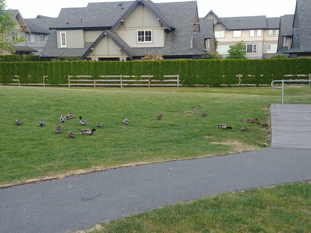 Morgan Heights Linear Park | 16151 25 Ave, Surrey, BC V3S 9H7, Canada | Phone: (604) 591-4011