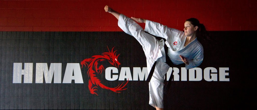 Hourahines Martial Arts | 695 Industrial Rd #9, Cambridge, ON N3H 5C9, Canada | Phone: (519) 653-8886