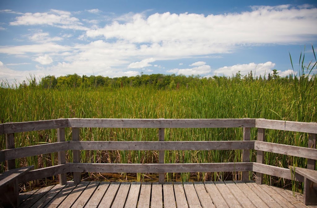 Stoney Swamp | Shirleys Bay, Ottawa, ON K2H 6H1, Canada | Phone: (613) 239-5000