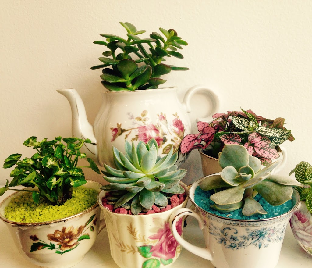 Stamen and Pistil Botanicals | 1567 Dundas St W, Toronto, ON M6K 1T9, Canada | Phone: (647) 351-9099