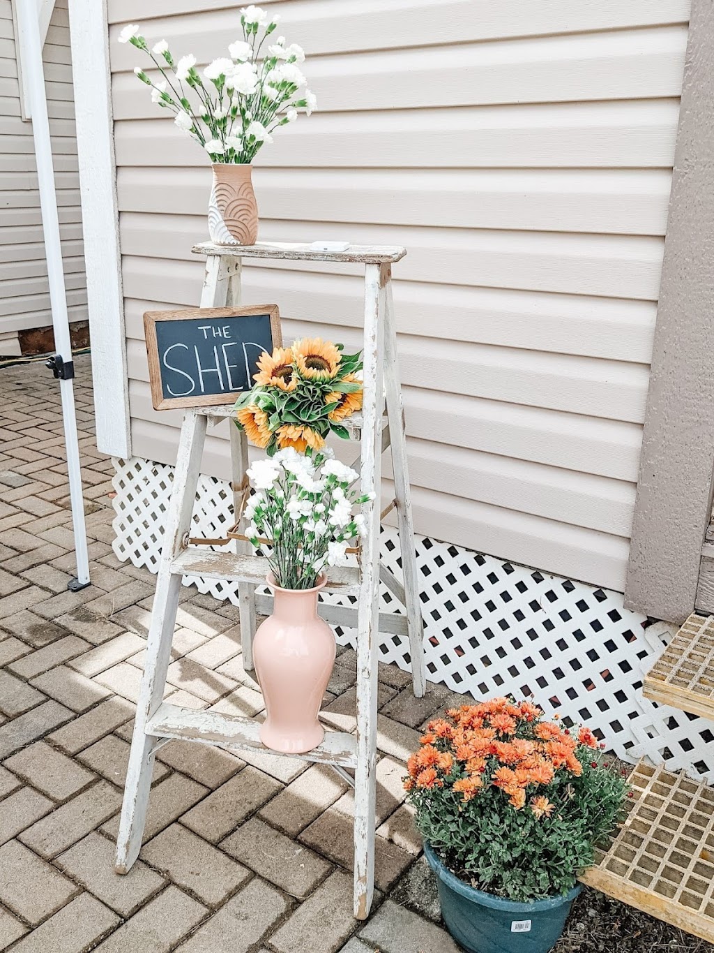 The Shed by Hex & Co. | 25955 48 Ave, Aldergrove, BC V4W 1J6, Canada | Phone: (778) 823-3539
