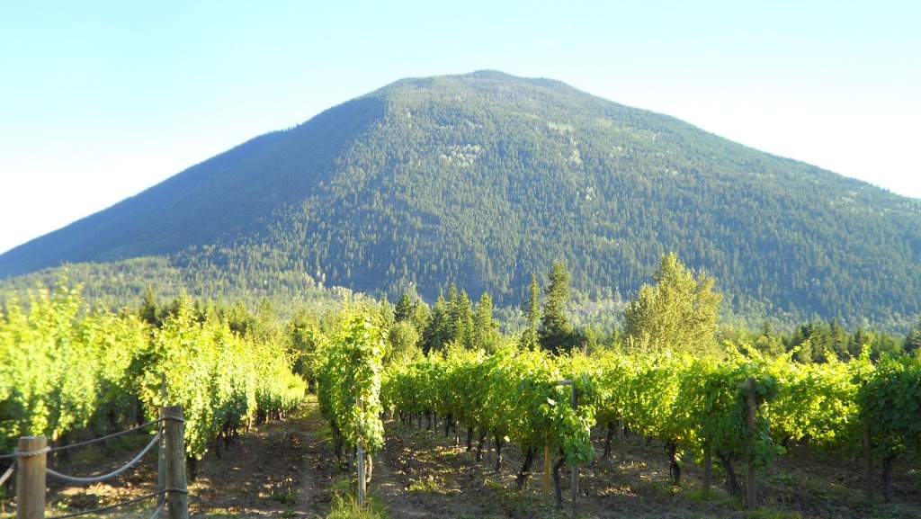 Recline Ridge Vineyards & Winery Ltd | 2640 Skimikin Lake Rd, Tappen, BC V0E 2X3, Canada | Phone: (250) 835-2212