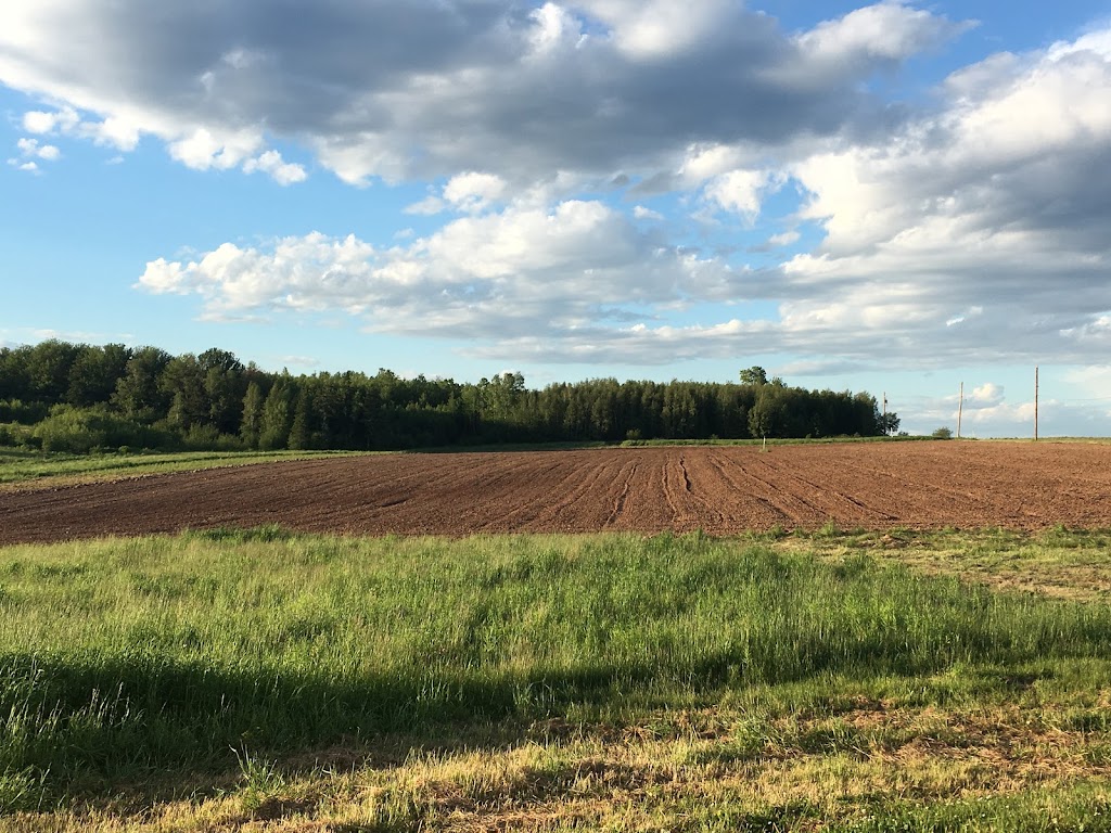 Caldera Distilling Inc. - Tasting Room | 65 River John Rd, River John, NS B0K 1N0, Canada | Phone: (902) 706-8413