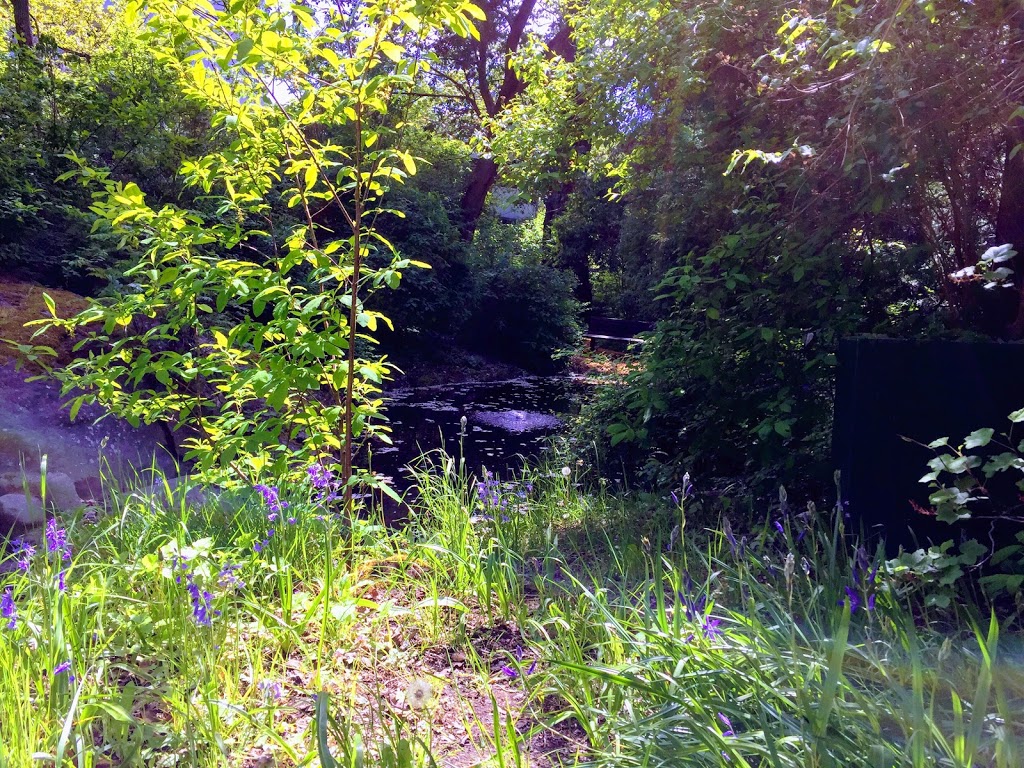Oak Bay Native Plant Garden | 1178 Beach Dr, Victoria, BC V8S 3A8, Canada | Phone: (250) 592-7275