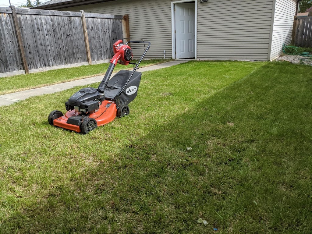 Yard Pirates Edmonton | 58 Evergreen Park NW, Edmonton, AB T5Y 4M2, Canada | Phone: (587) 645-7720