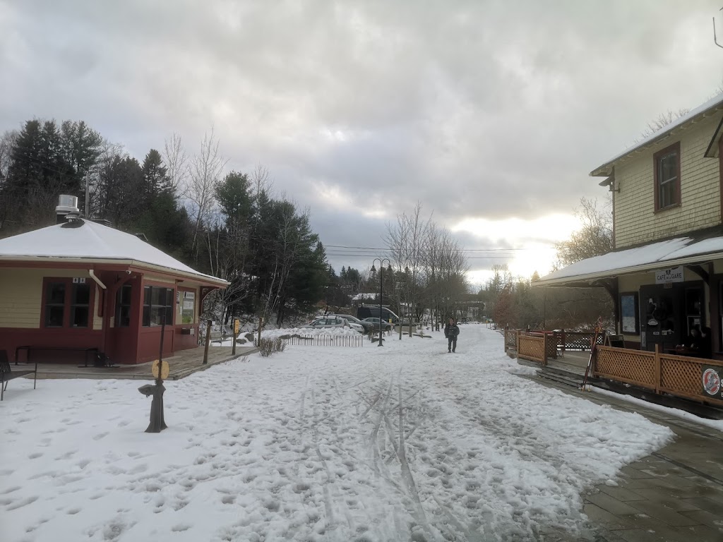 Ptit Train Du Nord - Sainte-Adèle (Mont-Rolland) | 995 Rue St Georges, Sainte-Adèle, QC J8B 1J9, Canada | Phone: (450) 745-0185