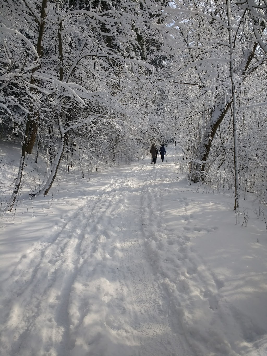 WCC Hydrocut Trails Pines Entrance | 1974 Snyders Rd E, Petersburg, ON N0B 2H0, Canada