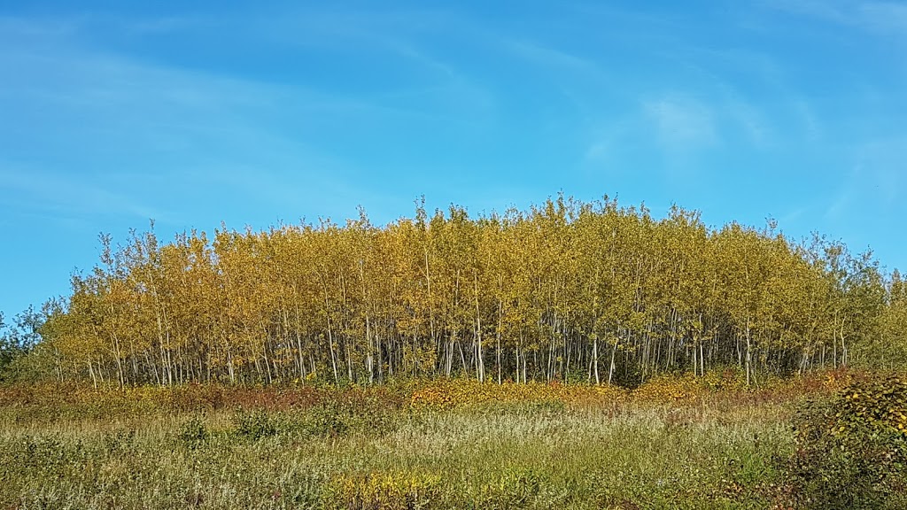 Simons Trailhead # 2 - Elk Island National Park | 20264-20266 Tawayik Lake Access Rd, Ardrossan, AB T8G 2A6, Canada | Phone: (780) 922-5790