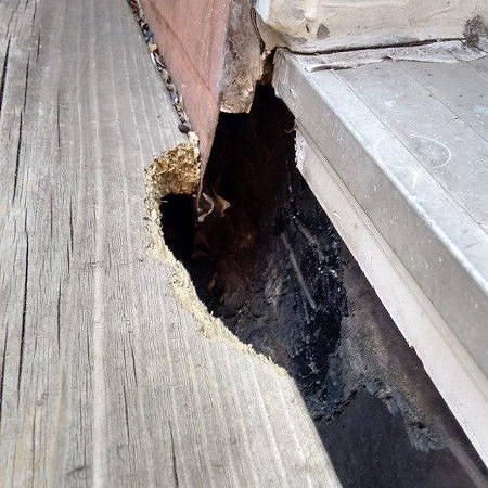 Durapest Wildlife Removal and Pest Control | 3 Swales Crescent, Brampton, ON L6R 0G4, Canada | Phone: (905) 782-6332
