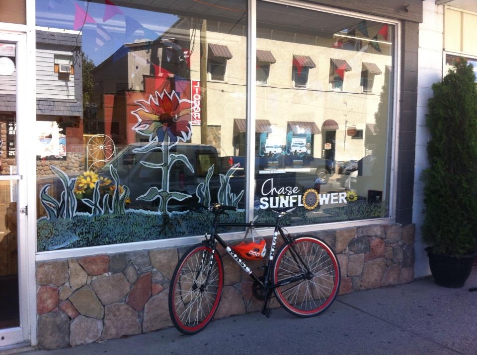 The Chase Sunflower | 838 Shuswap Ave, Chase, BC V0E 1M0, Canada | Phone: (250) 320-3050