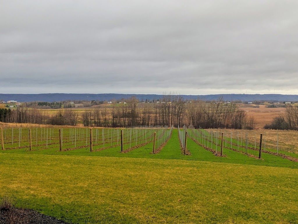 L.P. Estate Vineyard | 1771 Church St, Port Williams, NS B0P 1T0, Canada | Phone: (902) 670-1705