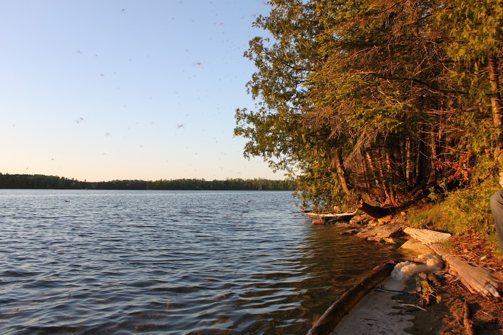 Tamarack Campsites | campground | 469 Cyprus Lake Rd, Tobermory, ON N0H 2R0, Canada | 8777373783 OR +1 877-737-3783