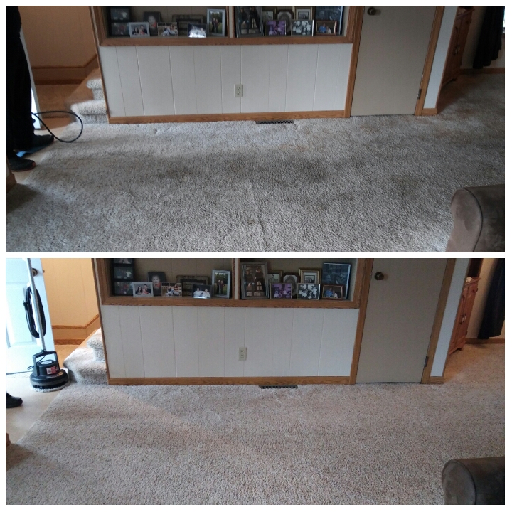 Black River Steam Restoration | 1426 White St, Port Huron, MI 48060, USA | Phone: (810) 956-5326