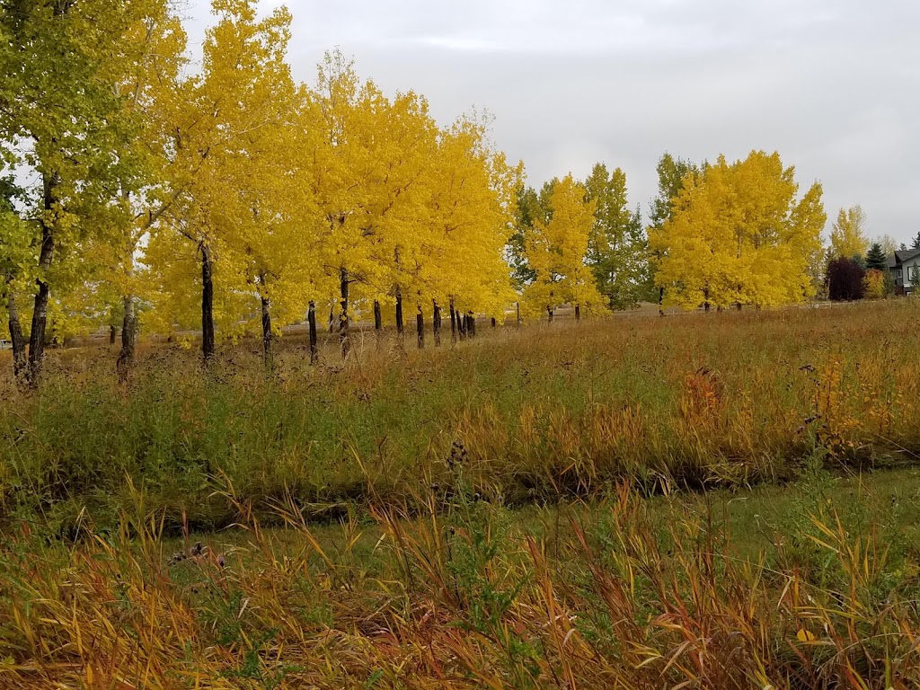 Westglen Boarding Kennels Ltd | 226 Ave 32nd St SW, De Winton, AB T0L 0X0, Canada | Phone: (403) 256-0806