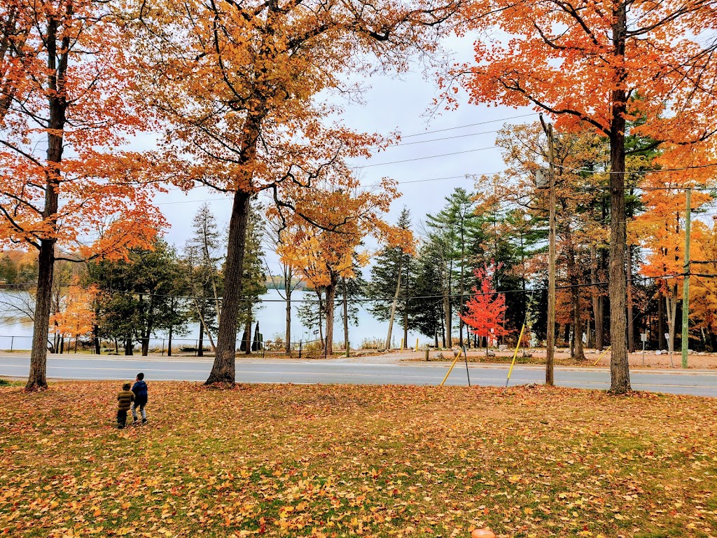 Sandy Lake Hideaway | Lakehurst Rd, Buckhorn, ON K0L 1J0, Canada | Phone: (647) 787-8373