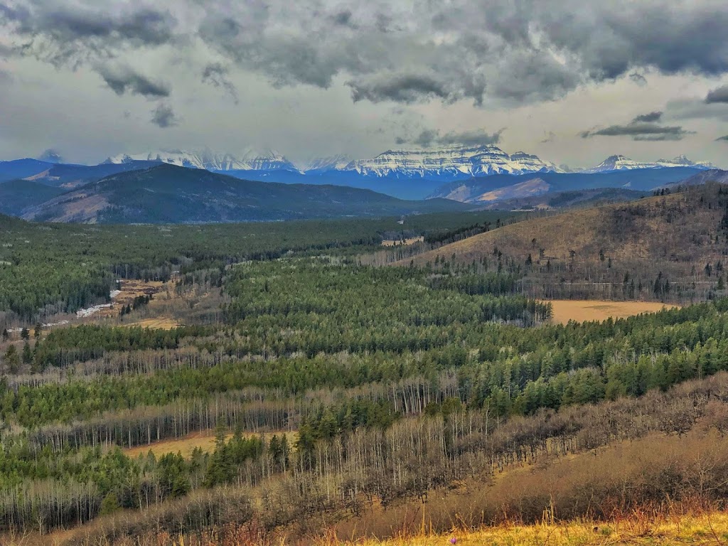 High Noon Hills | 4281 Sheep River Rd, Millarville, AB T0L 1K0, Canada