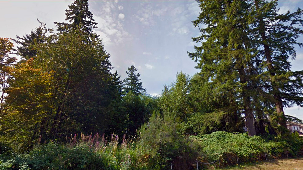 Cedar Greens Park | 8298 157 St, Surrey, BC V4N 0S2, Canada