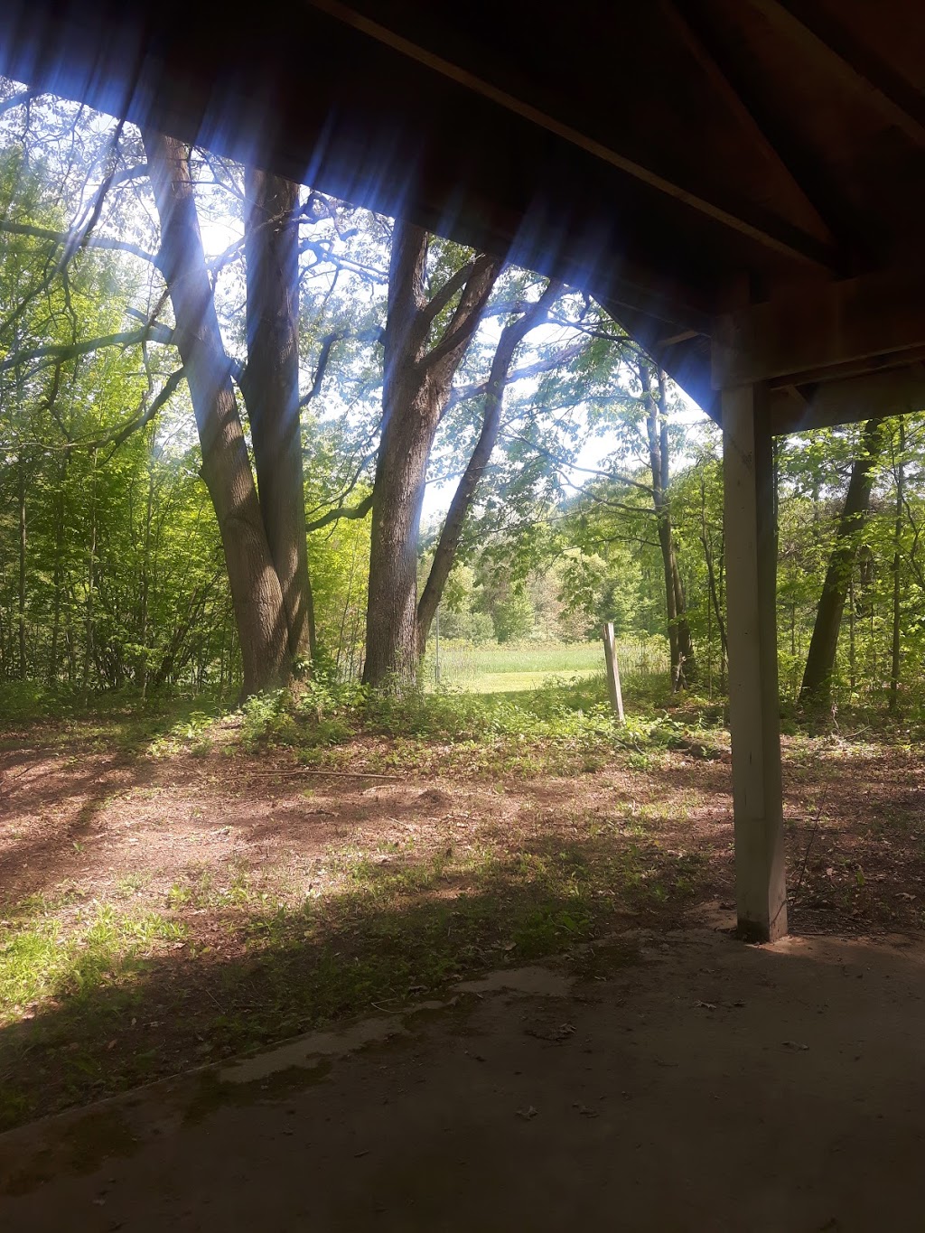 Woodsong County Park | 3494 Abbottsford Rd, North Street, MI 48049, USA