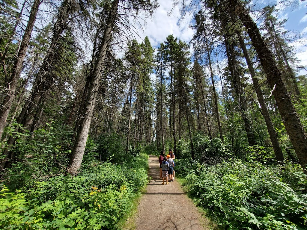 Discovery Canyon | 3800 River Bend Drive, Red Deer, AB T4P 0Y4, Canada | Phone: (403) 343-6341