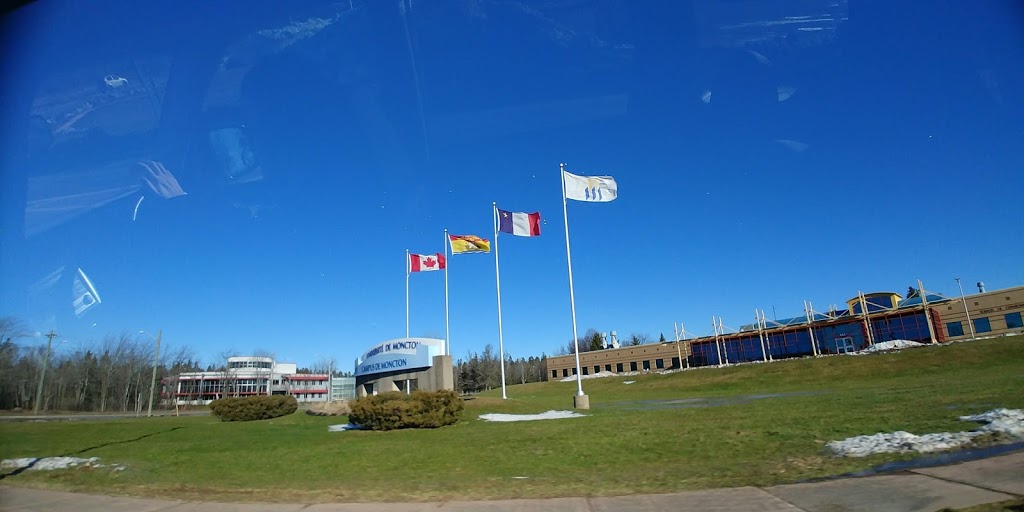 Moncton Stadium | 30 Antonine-Maillet Ave, Moncton, NB E1A 3E9, Canada | Phone: (506) 853-3595