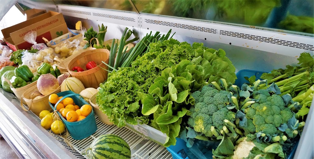 Les Jardins de Micheline | 139 Rue Maskinongé, Saint-Gabriel-de-Brandon, QC J0K 2N0, Canada | Phone: (450) 835-3488