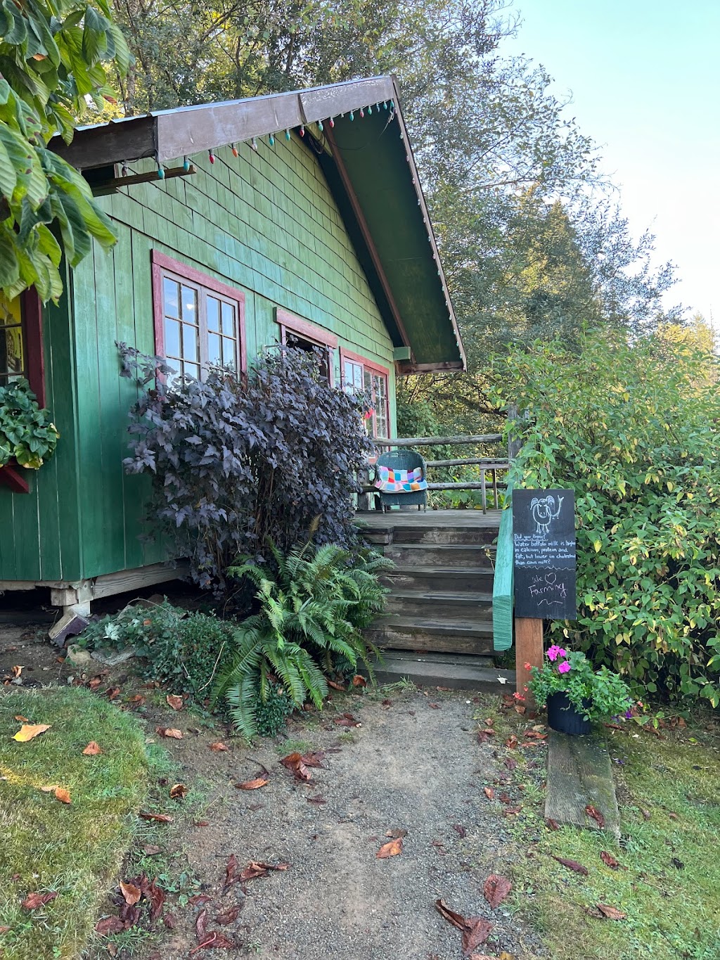 Coleman Meadows Farm | Alberni-Clayoquot D, BC V9Y 8Y9, Canada | Phone: (250) 724-0876