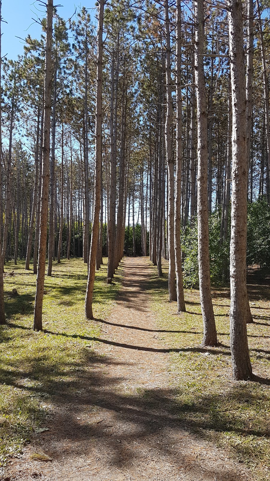 White Spruce Park | Brampton, ON L6Z 0B4, Canada | Phone: (647) 892-8970