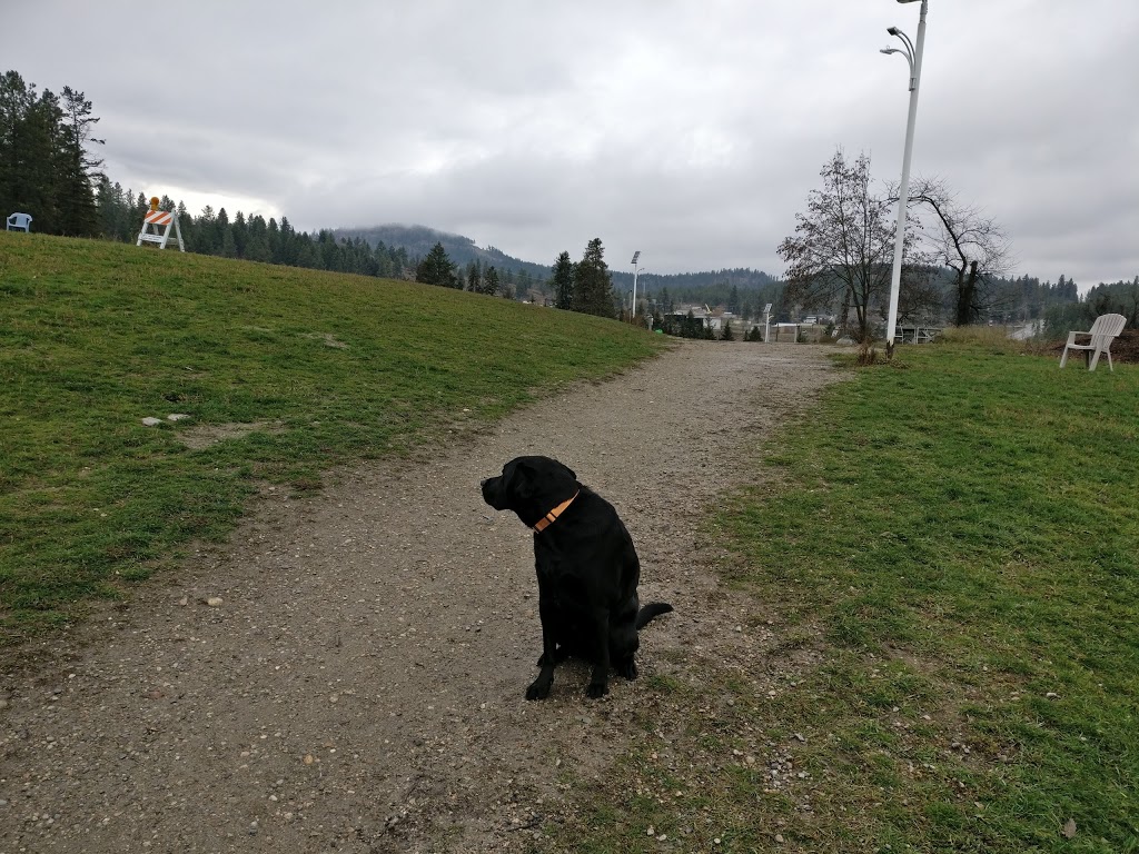 North Glenmore Dog Park | 2150 Glenmore Rd N, Kelowna, BC V1V 2C5, Canada | Phone: (250) 469-8503