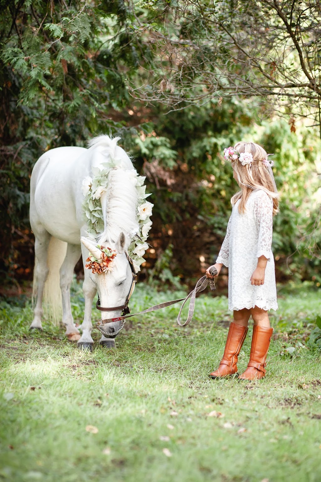 Amy D Photography | 960 Lockhart Rd, Barrie, ON L9J 0B5, Canada | Phone: (705) 321-2803