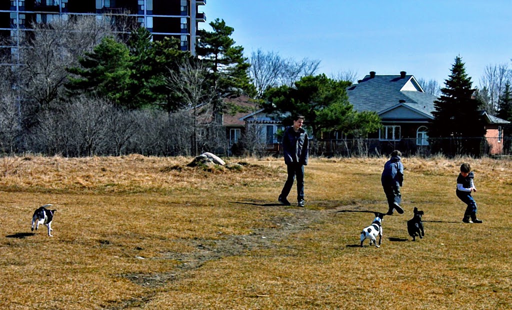 Grasshopper Hill Park | 1609 Kilborn Ave, Ottawa, ON K1H, Canada | Phone: (613) 580-2595