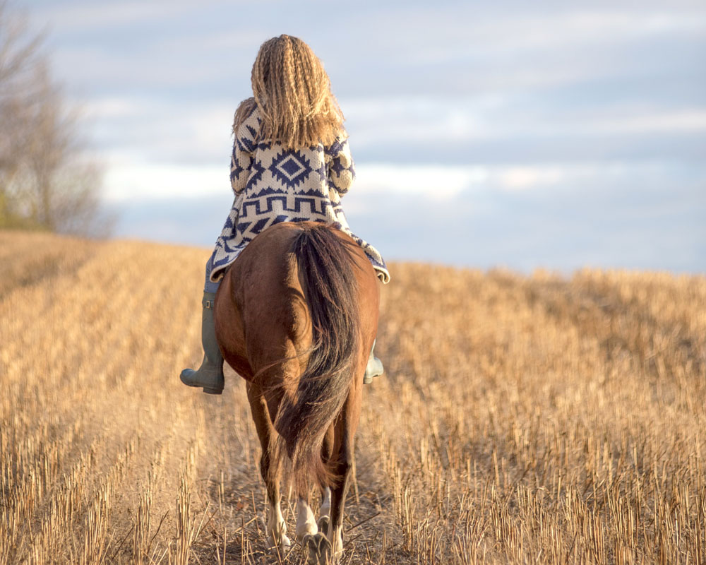 Peg McCarthy Photography | 559 Beagle Club Rd RR#1, Baltimore, ON K0K 1C0, Canada | Phone: (905) 373-6605