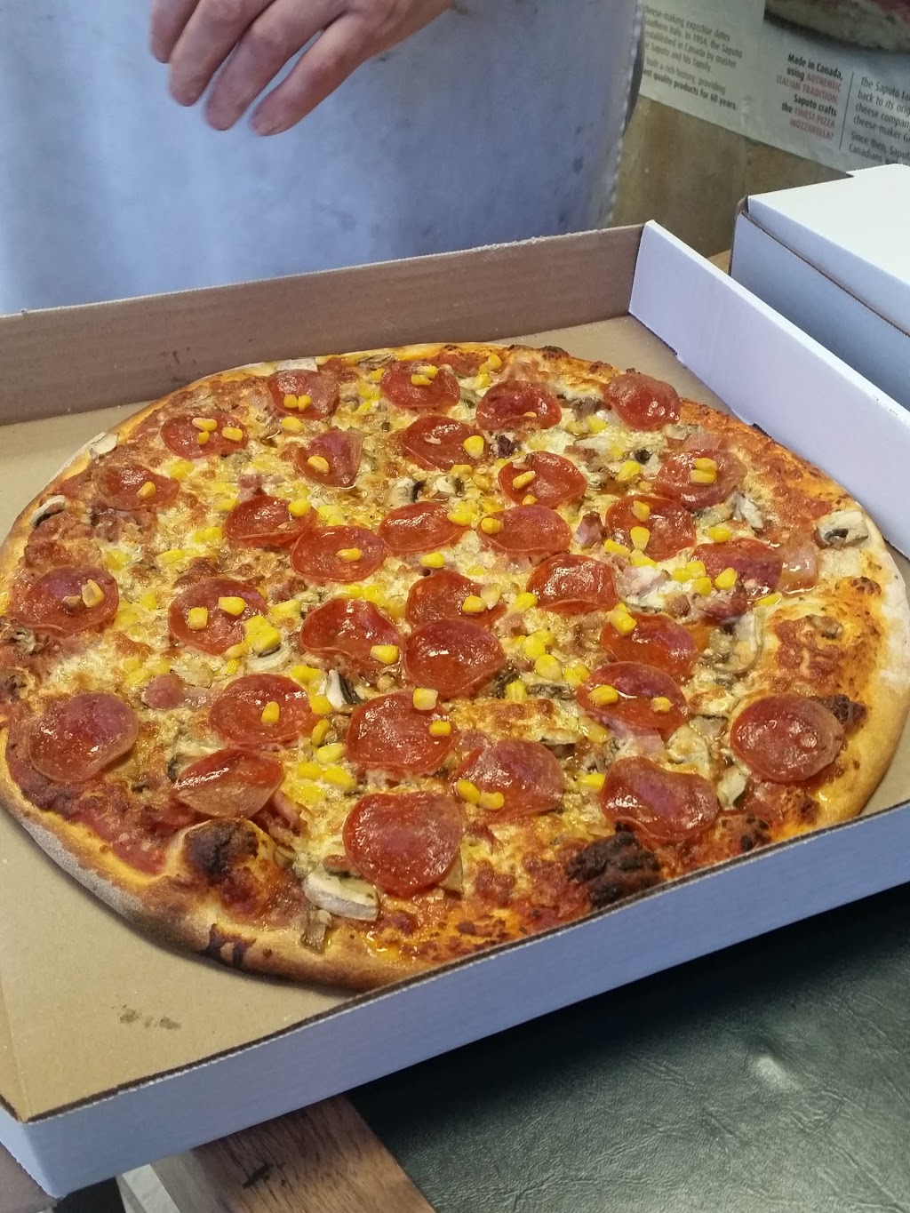IL Padres Gourmet Pizza | 196 Royal York Rd, Etobicoke, ON M8V 2V6, Canada | Phone: (416) 251-4444