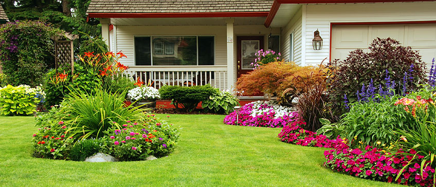 Lily Rose Landscaping | 910 Greenwood Rd, West Vancouver, BC V7S 1X7, Canada | Phone: (778) 999-0605