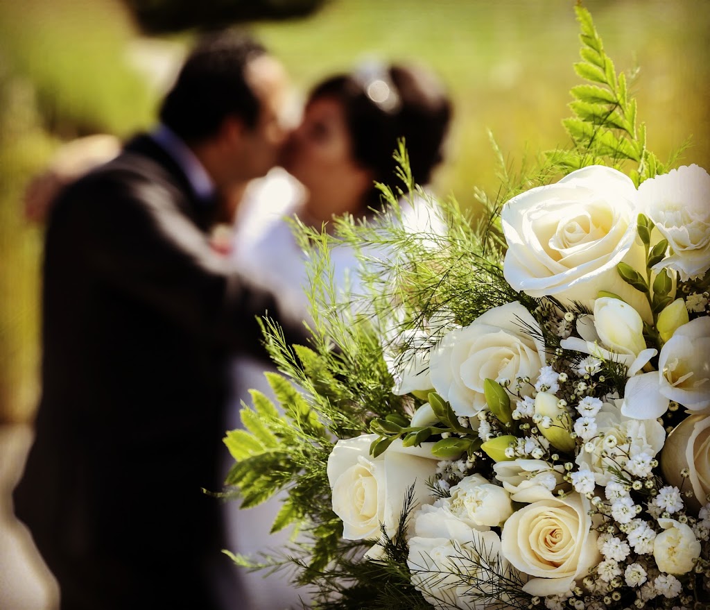 ANA PHOTOGRAPHY | 194 William Roe Blvd, Newmarket, ON L3Y 1B5, Canada | Phone: (416) 617-3070