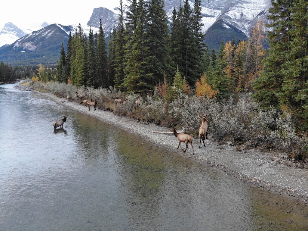 Public Boat Launch Parking Lot | Rundle Dr, Canmore, AB T1W, Canada | Phone: (844) 621-7238