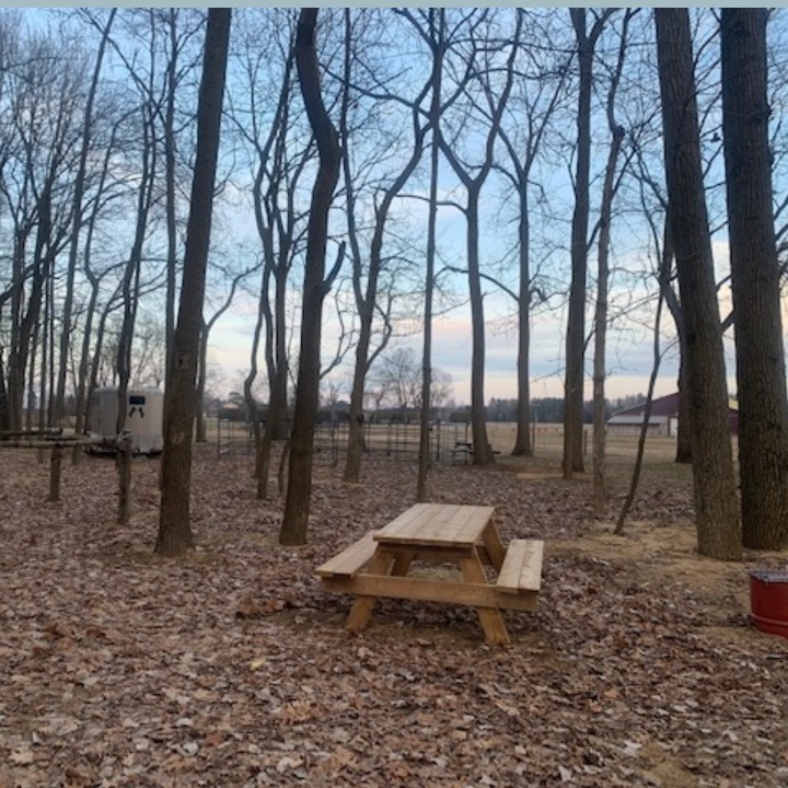 Horseshoe Ranch | 567 Charlotteville Rd 1, St Williams, ON N0E 1P0, Canada | Phone: (226) 228-3536