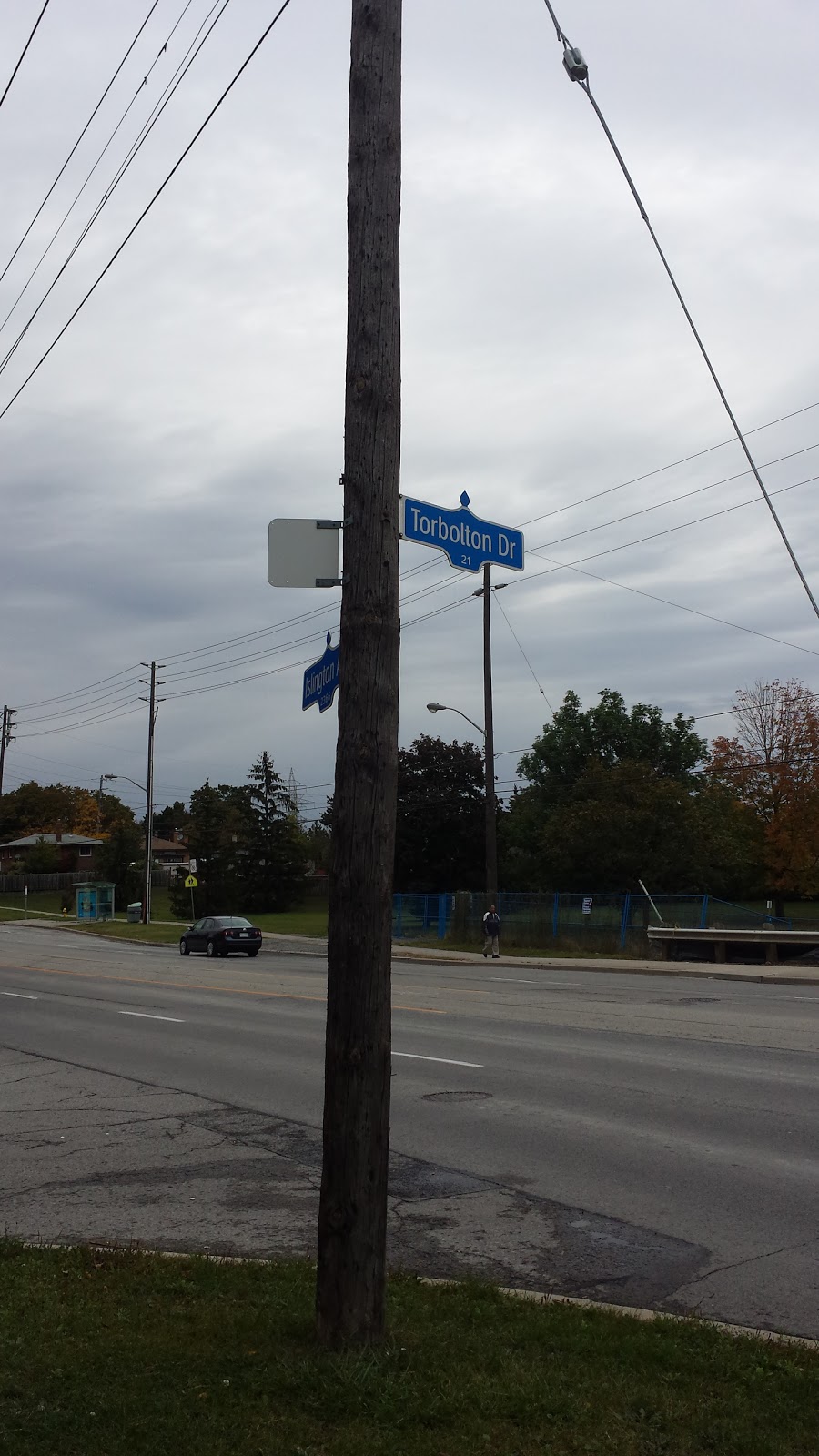 The Elms Park | 25 Auburndale Ct, Etobicoke, ON M9W, Canada | Phone: (416) 338-4386