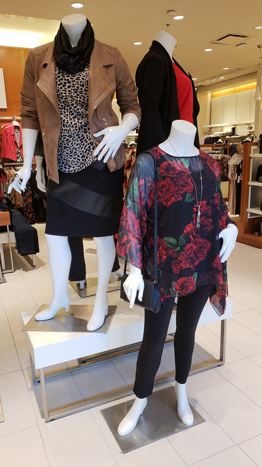 Laura | 509 Bayfield St, Barrie, ON L4M 4Z8, Canada | Phone: (705) 730-5583